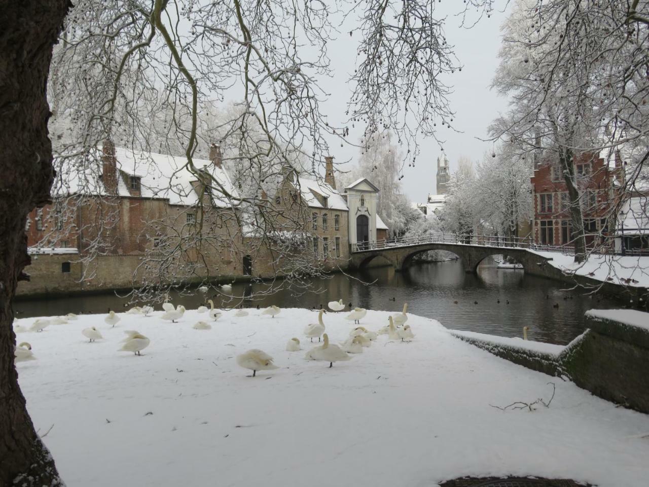 Bonnie Apartamento Bruges Exterior foto